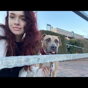 Meet your Posher, Haley